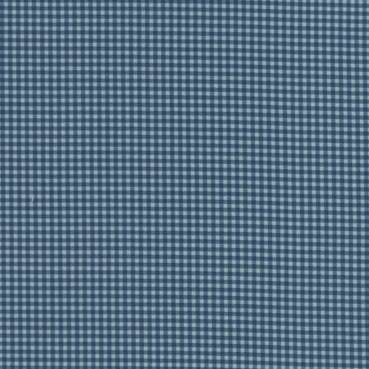 Andover Petite Bee blauw ruitje