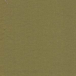 Dutch Heritage Pindot Olive