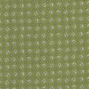 Riley Blake Home Town groen wit strikje