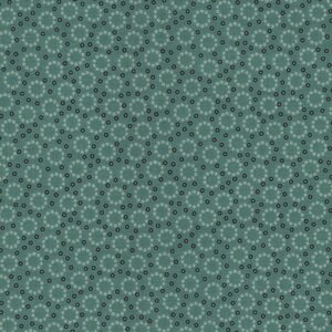 Riley Blake Home Town petrol cirkels