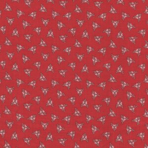 Windham Rory rood werkje