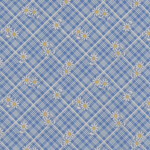 Marcus Aunt Grace Calicos blauw ruitje