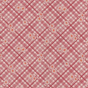 Marcus Aunt Grace Calicos rood wit ruitje