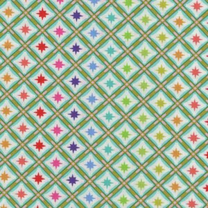 Free Spirit Tula Pink Roar multi kleur ruit