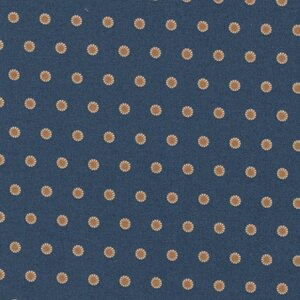 Andover Beach House blauw oker stip