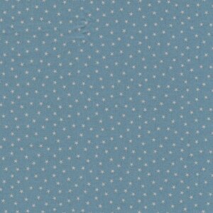 Andover Twinkle blauw wit sterretje