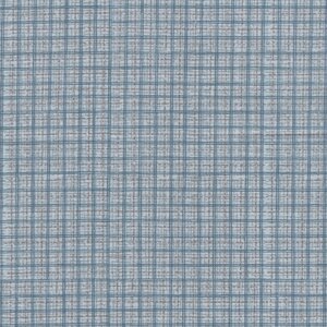 Lynette Anderson blauw mini ruitje