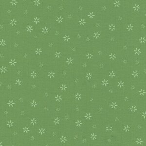 Andover Plain and Simple groen sterretje